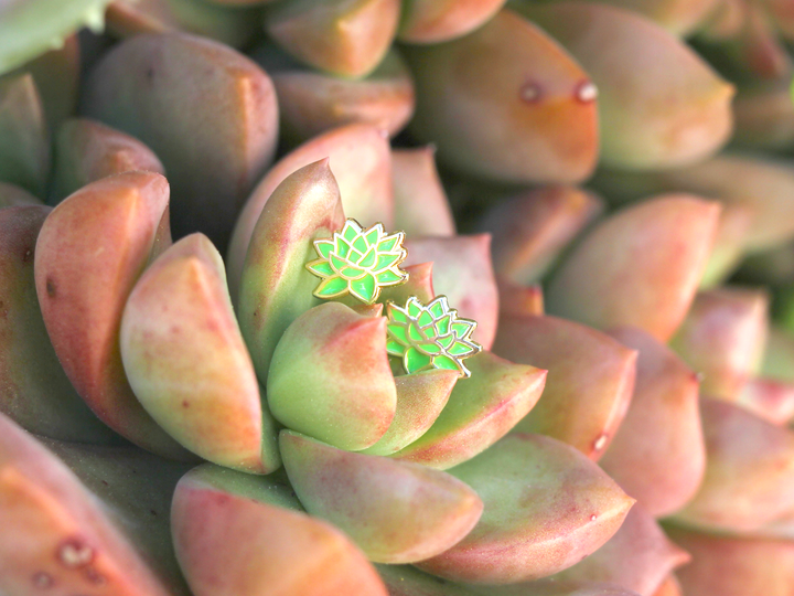 Green Succulent Earrings - Oh Plesiosaur
