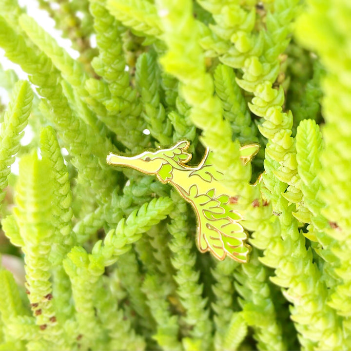 Leafy Seadragon Pin - Oh Plesiosaur