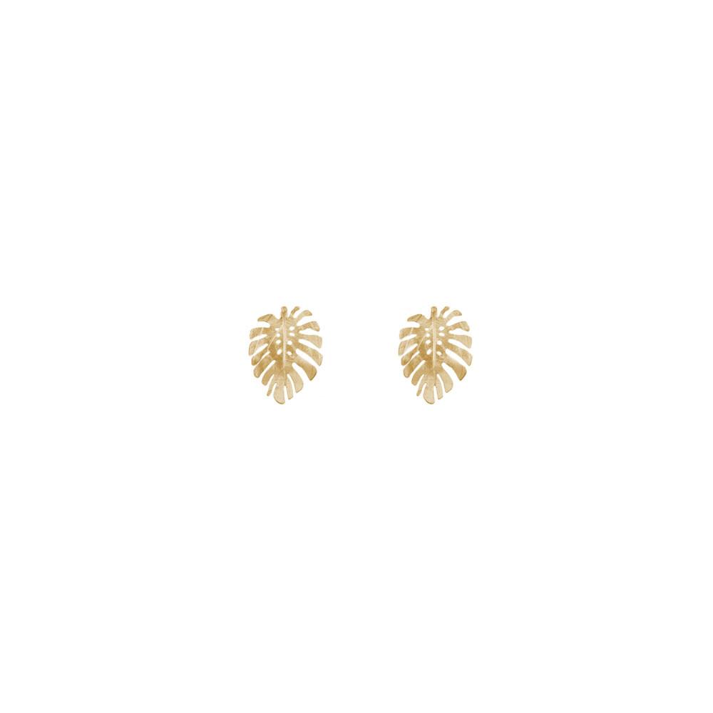 Gold Monstera Studs