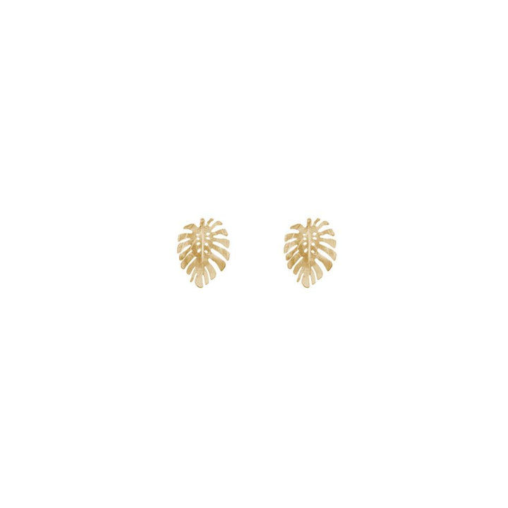 Gold Monstera Studs