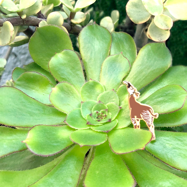Mini Okapi Pin - Oh Plesiosaur