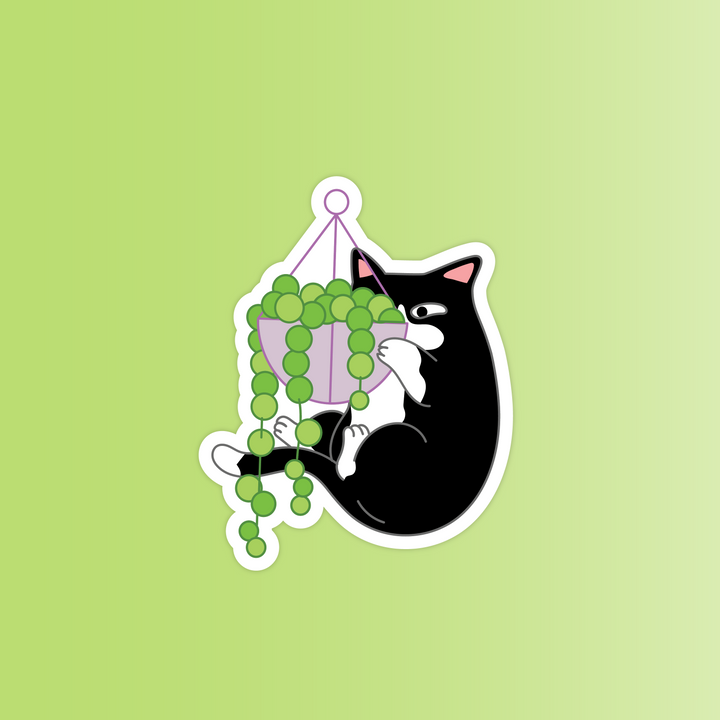 Plant & Cats Sticker Pack - Oh Plesiosaur