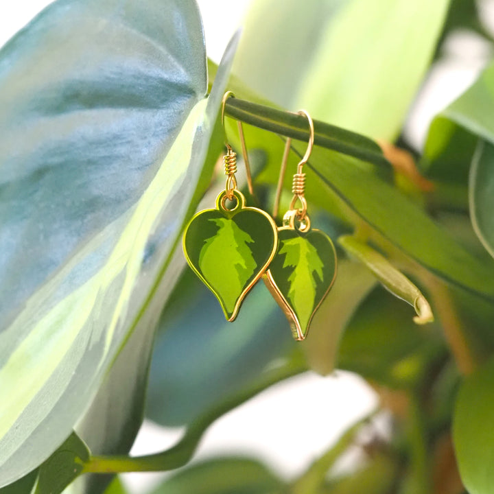 Philodendron Brasil Earrings