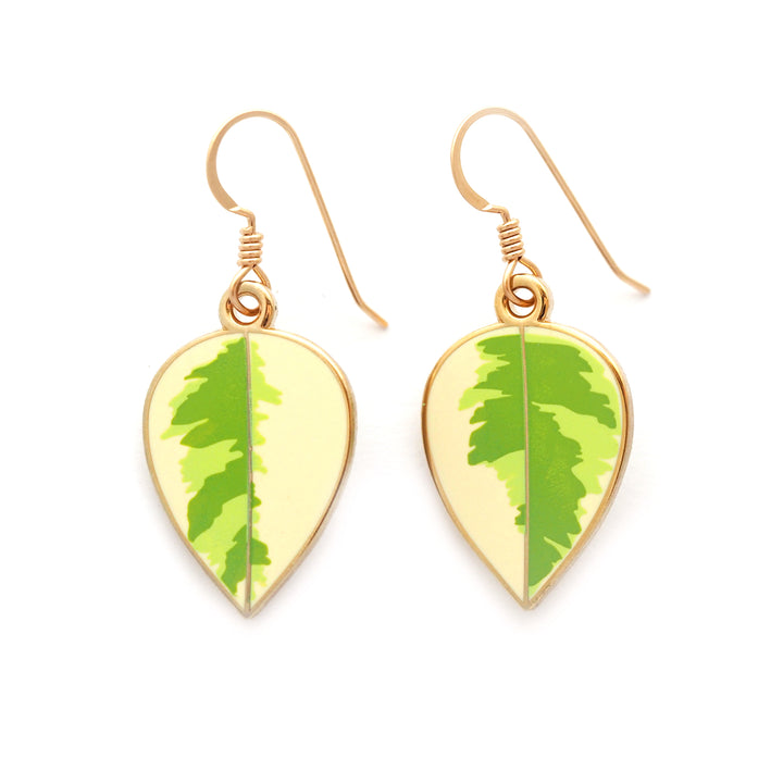 Rubber Plant Earrings