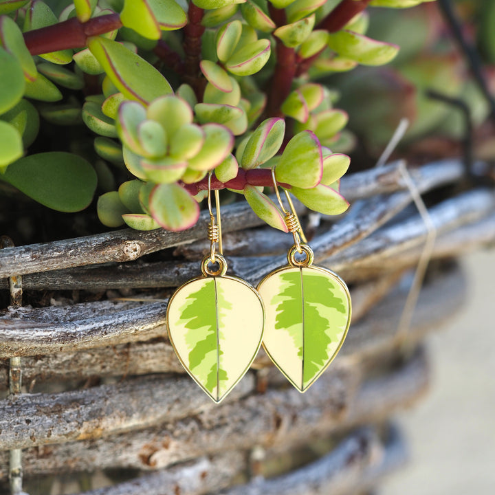 Rubber Plant Earrings