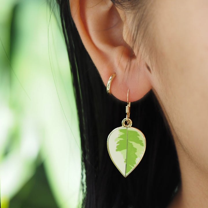 Rubber Plant Earrings