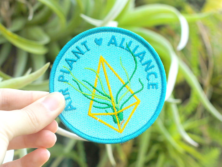 Air Plant Alliance Patch - Oh Plesiosaur