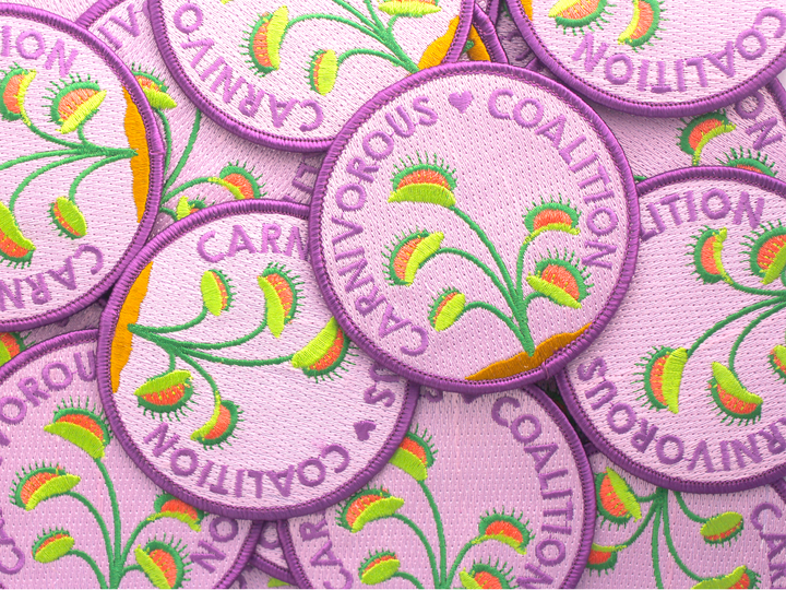 Carnivorous Coalition Patch - Oh Plesiosaur