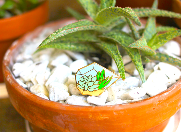 Succulent Terrarium Pin - Oh Plesiosaur