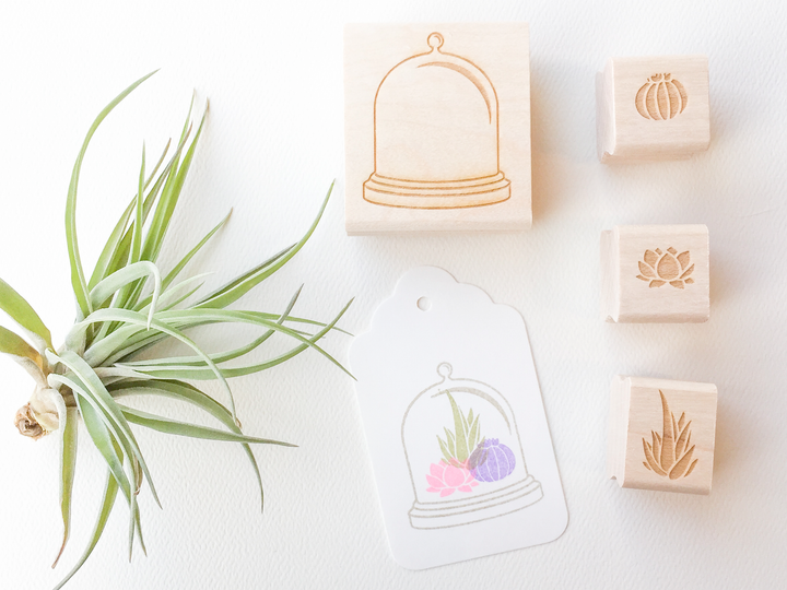 Succulent Terrarium Stamp Set - Oh Plesiosaur