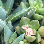 Mini Aardvark Pin - Oh Plesiosaur