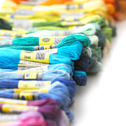 Embroidery Floss - 250 Skeins - Oh Plesiosaur
