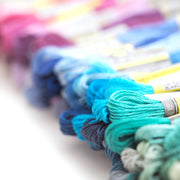 Embroidery Floss - 250 Skeins - Oh Plesiosaur