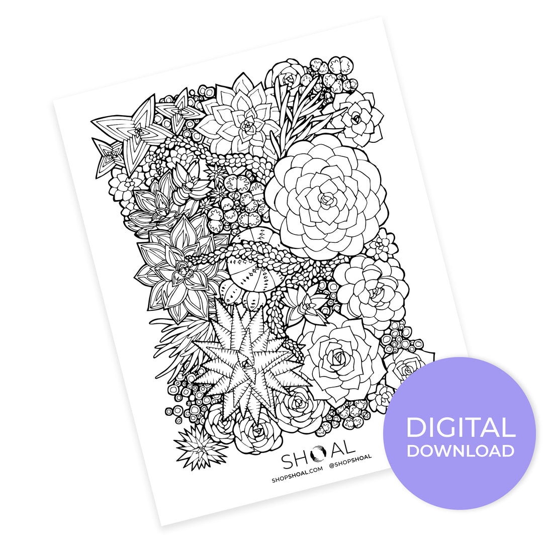 succulent coloring page Succulent Coloring Page – Shoal
