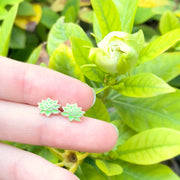Green Succulent Earrings - Oh Plesiosaur