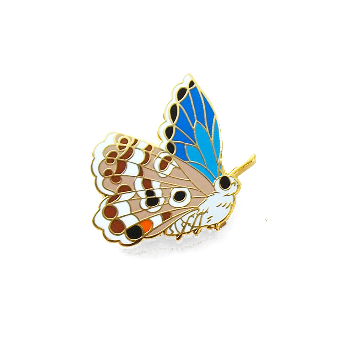 Miami Blue Butterfly Pin - Oh Plesiosaur