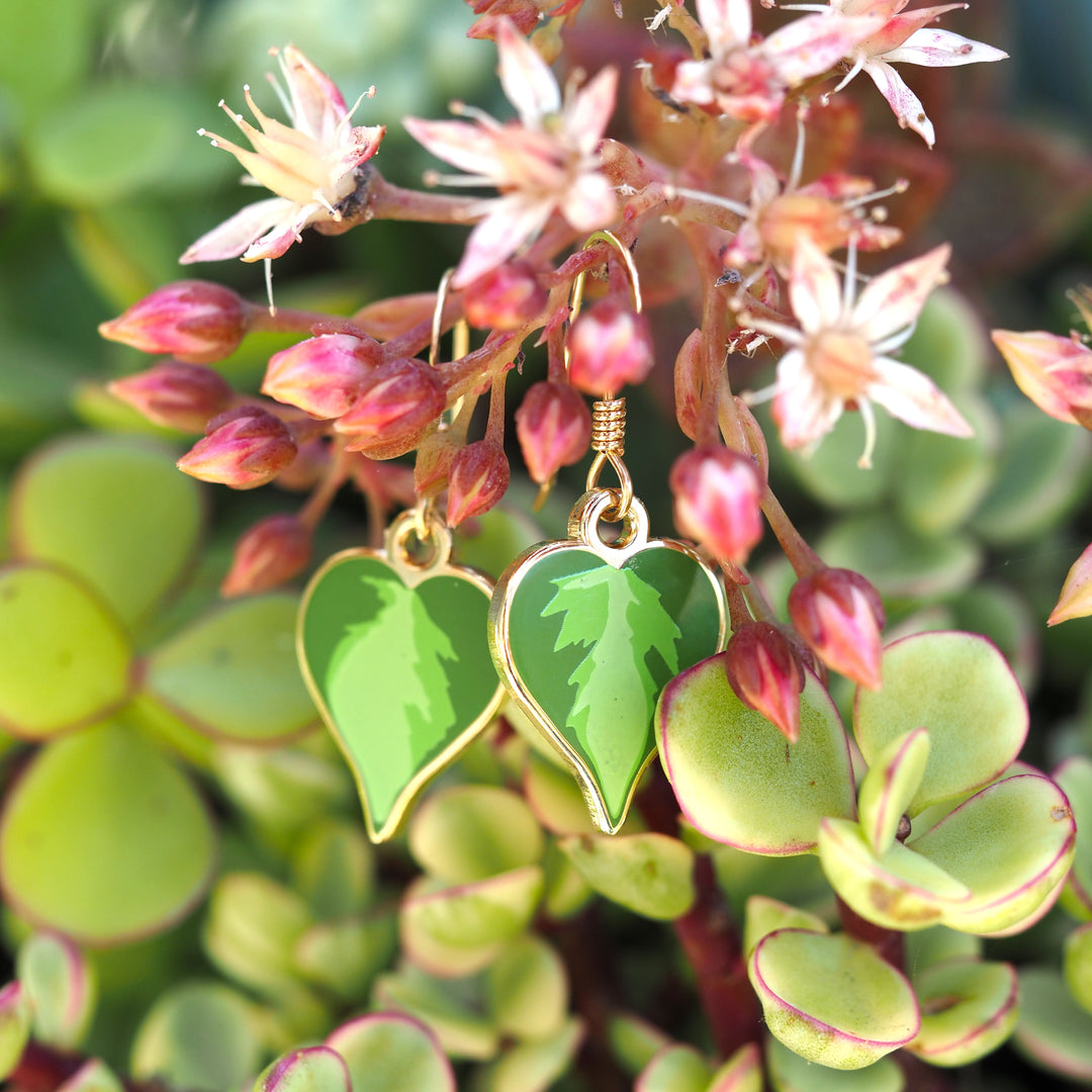 philodendron brasil flowers Philodendron Brasil Earrings – Shoal