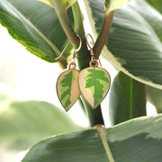 Rubber Plant Earrings