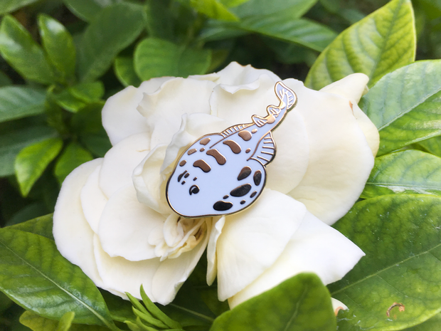 Electric Ray Pin - Oh Plesiosaur