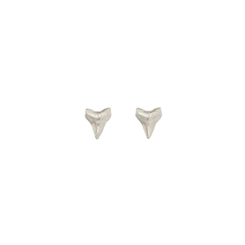 Silver Shark Tooth Studs